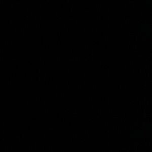 Meet your Posher, Mari & rell: